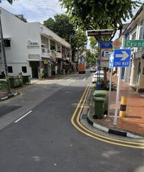 Joo Chiat Road (D15), Shop House #454165291